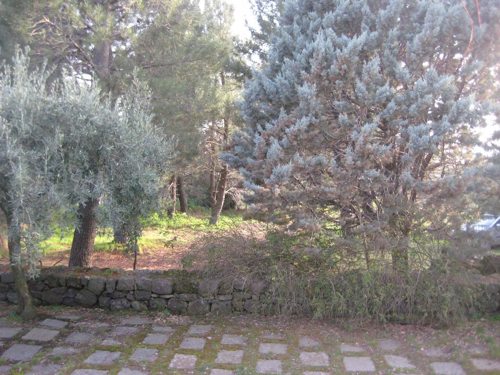 Villa La Casa Del Cavaliere à Santa Maria di Licodia Chambre photo
