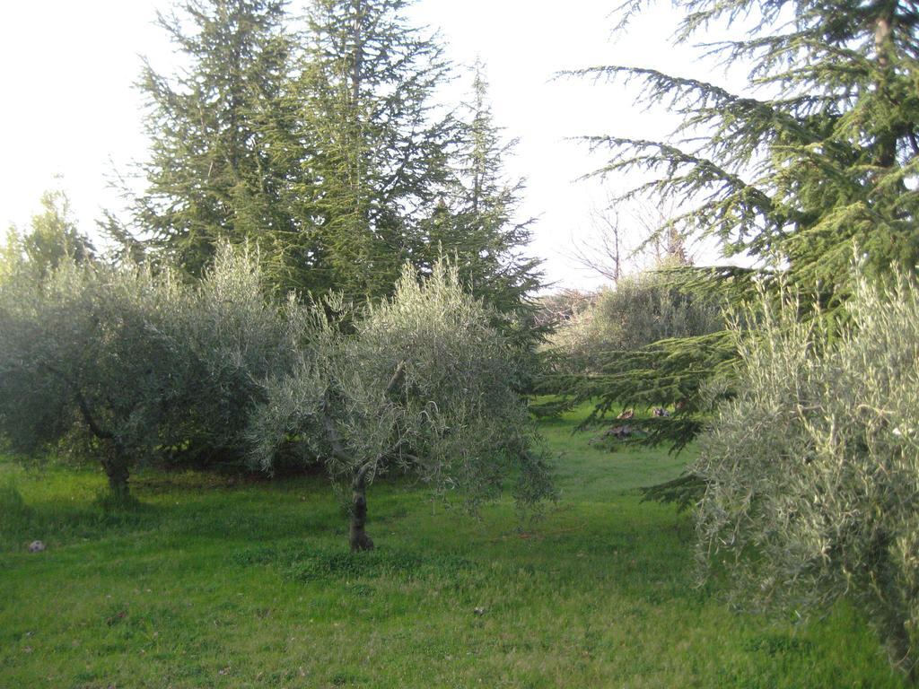 Villa La Casa Del Cavaliere à Santa Maria di Licodia Chambre photo